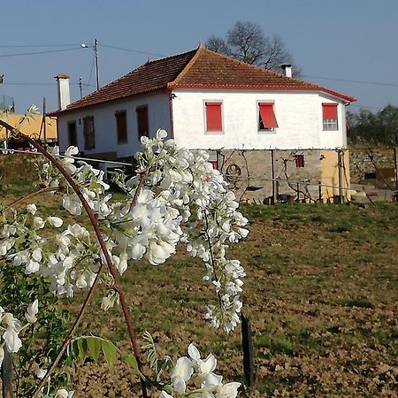 Casa Da Vinha Grande Hotel Poiares Екстериор снимка